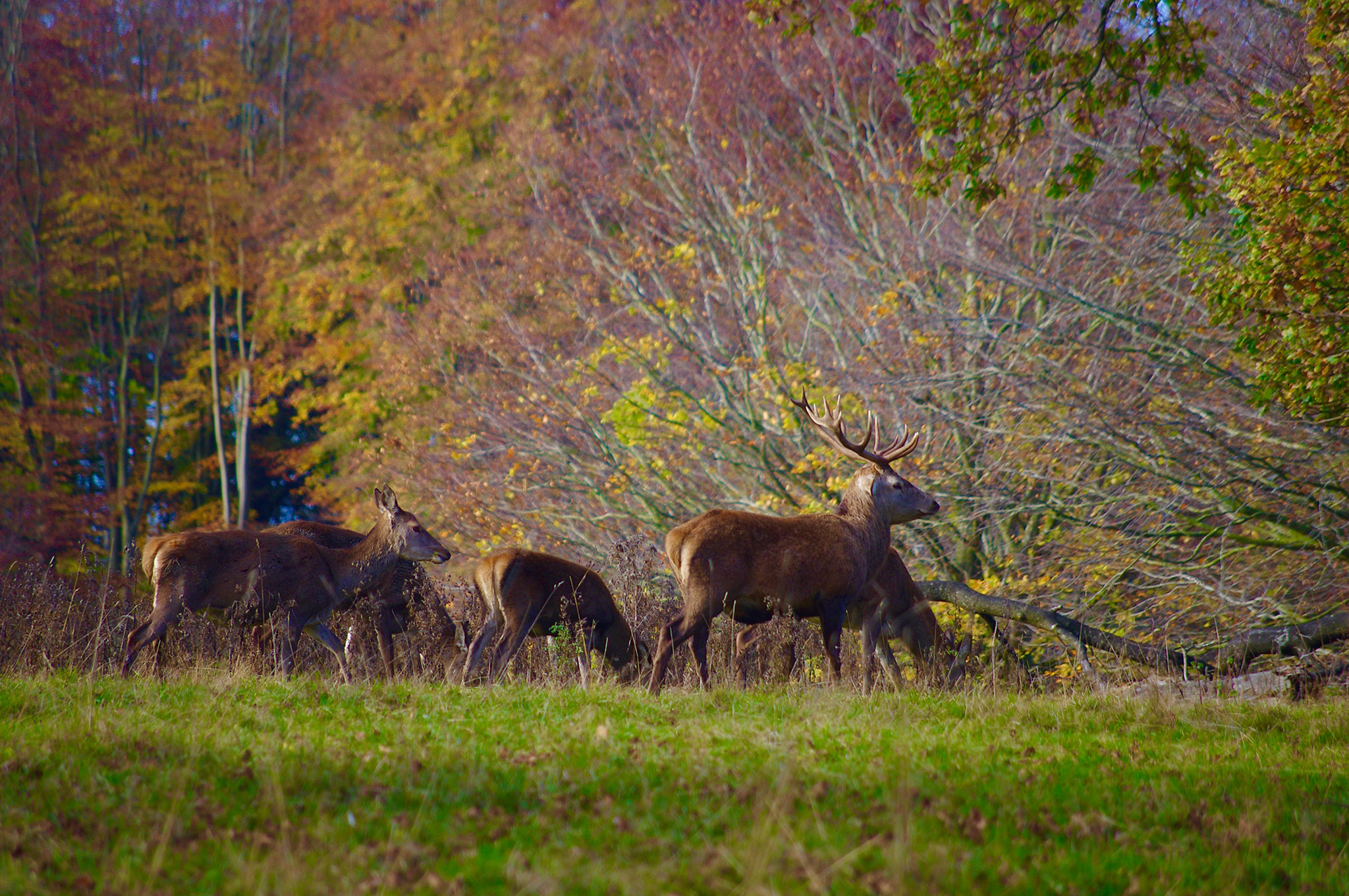 Fountains Abbey & Studley Royal, Ripon 2024